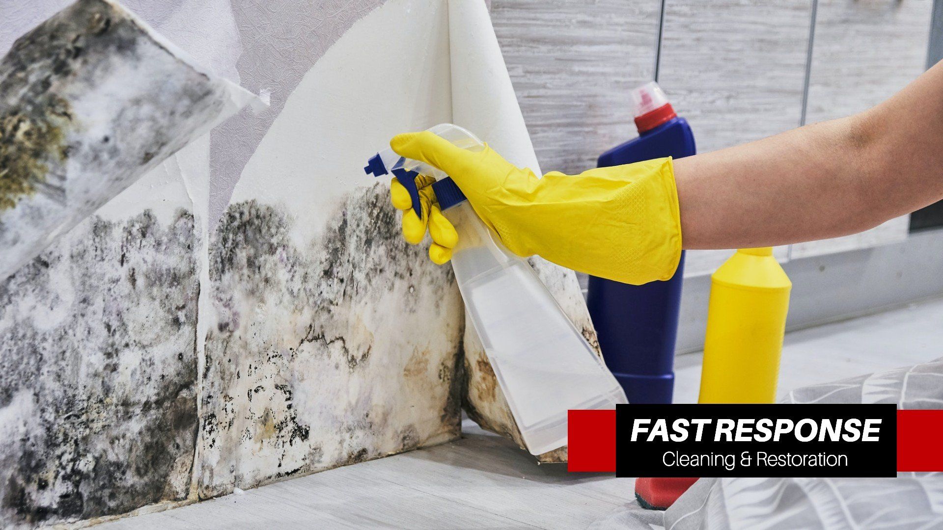 Home Remediation In Hilton Head Island, SC