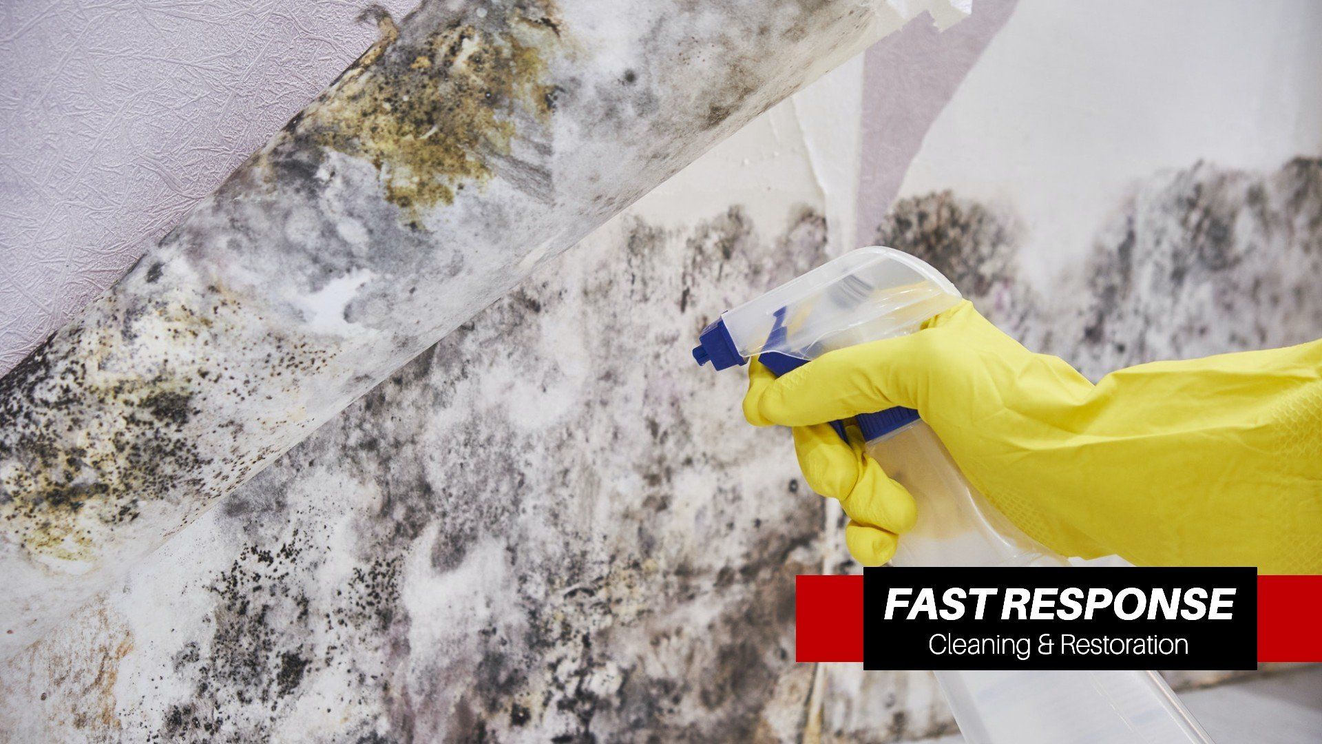 Home Remediation In Bluffton, SC
