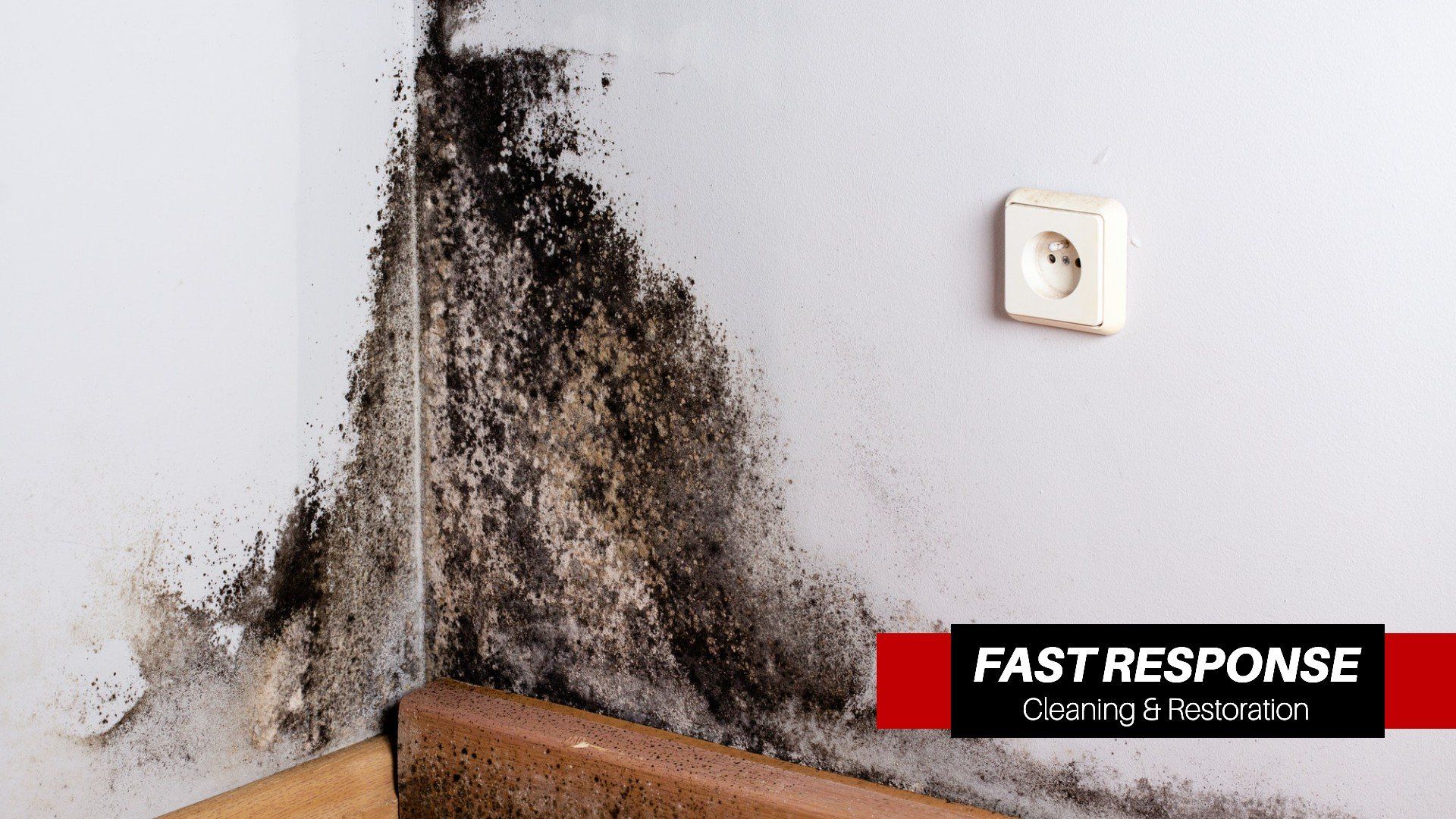Home Remediation In Whitemarsh Island, GA