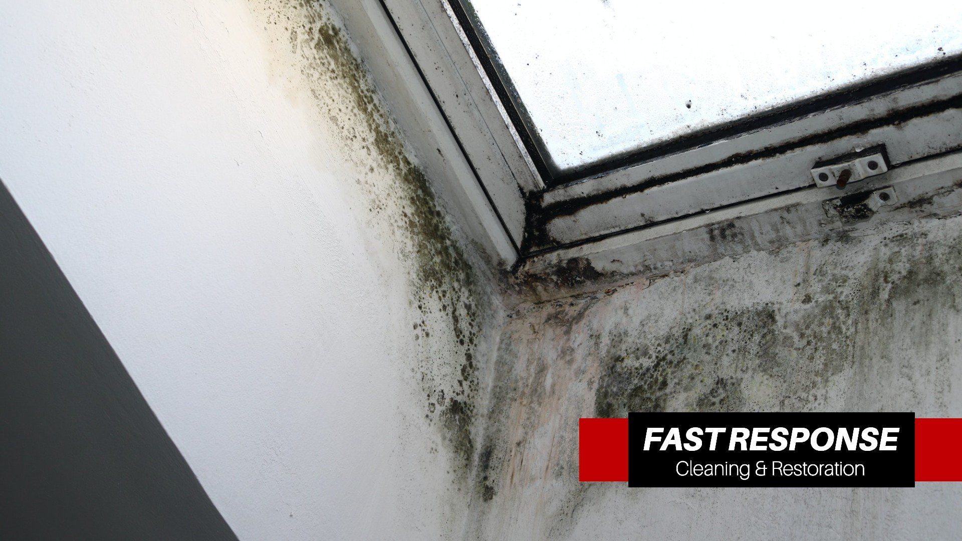 Home Remediation In Vernonburg, GA