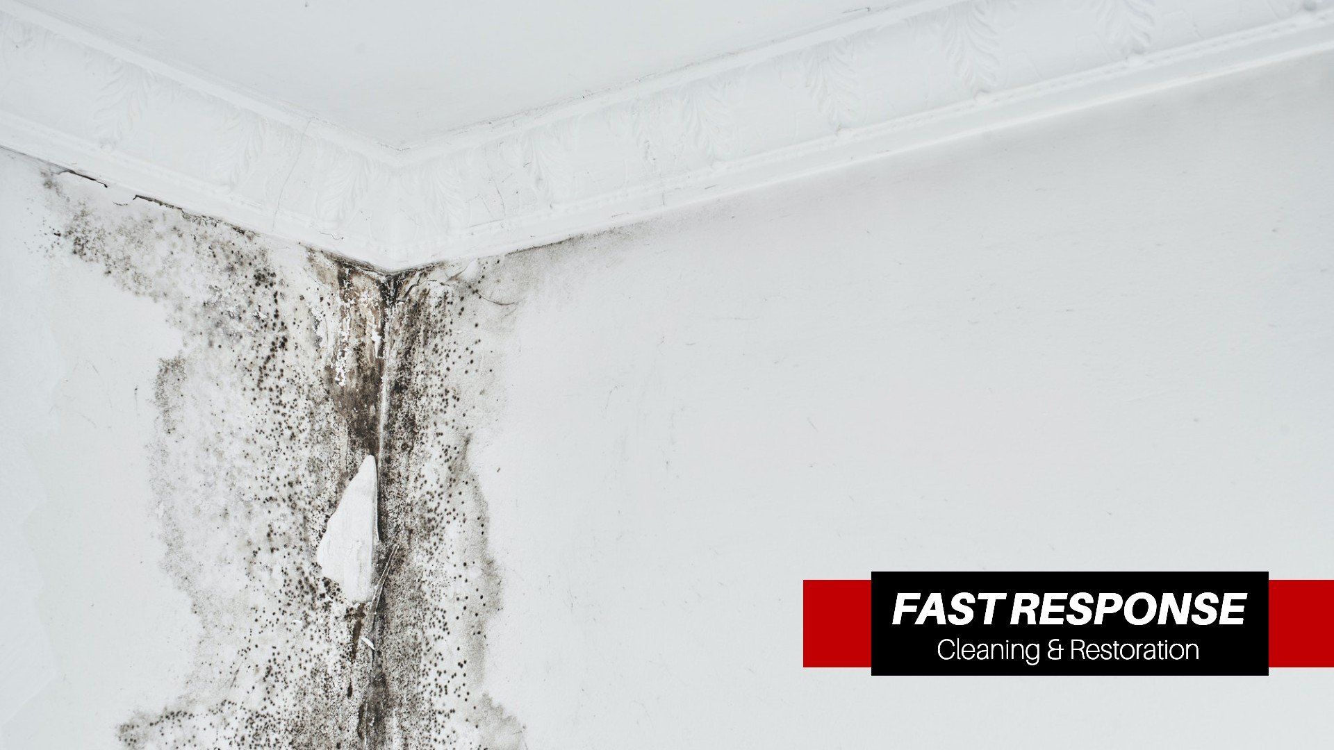 Home Remediation In Thunderbolt, GA