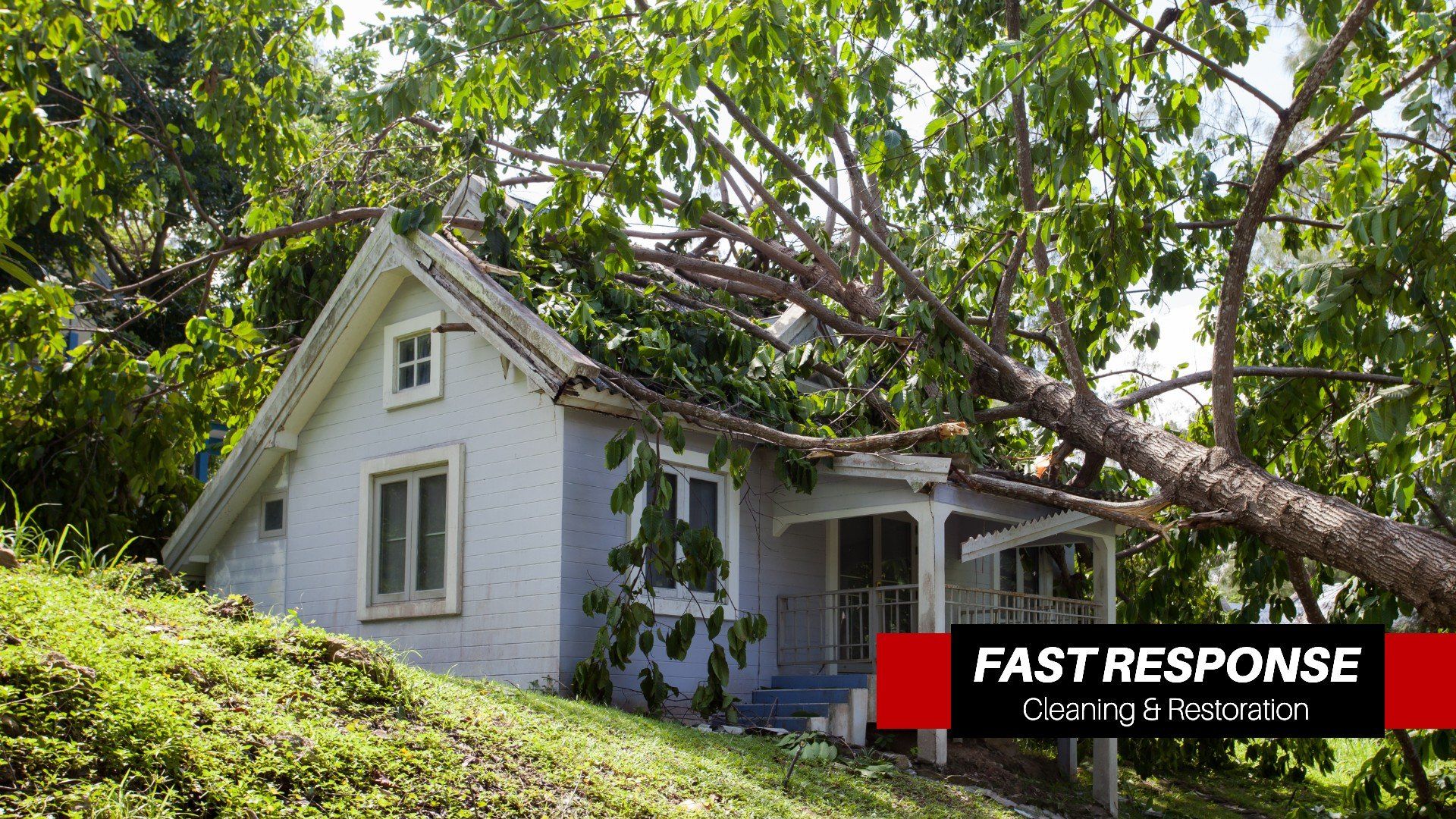 Emergency Board Up Service in Skidaway Island, GA