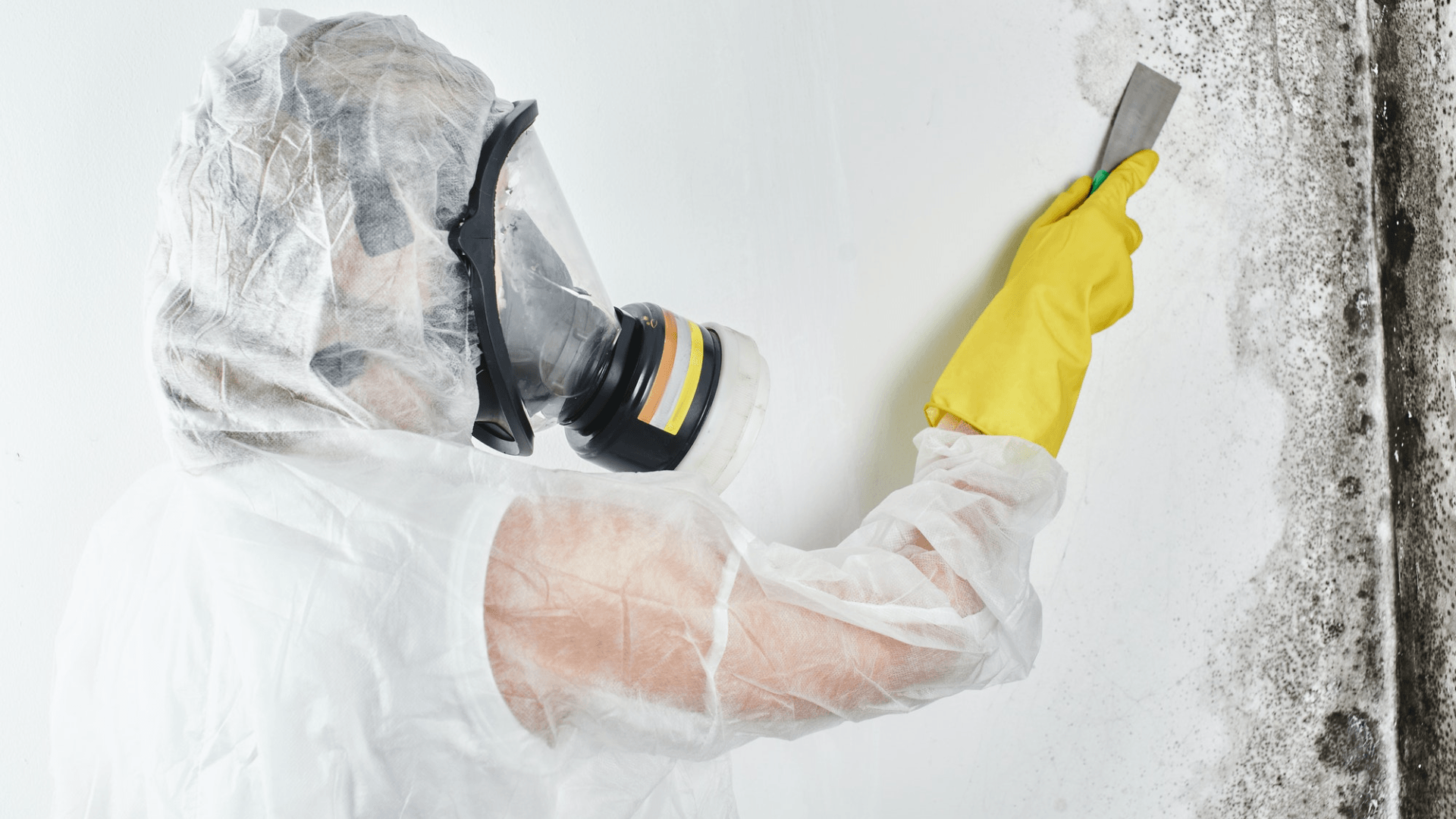 Top 5 Reasons For Mold Growth In Your Home