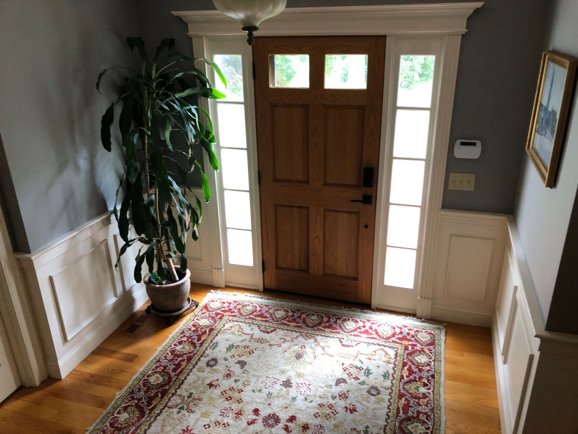 Wooden front door with sidelights, area rug, potted plant, and framed artwork in a hallway.