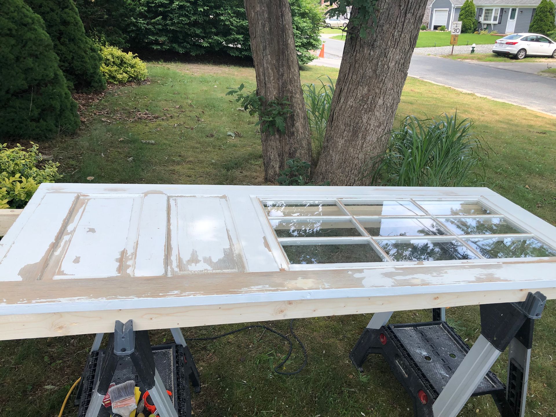 A worn white door on sawhorses outdoors. The door is in front of a tree and grass.