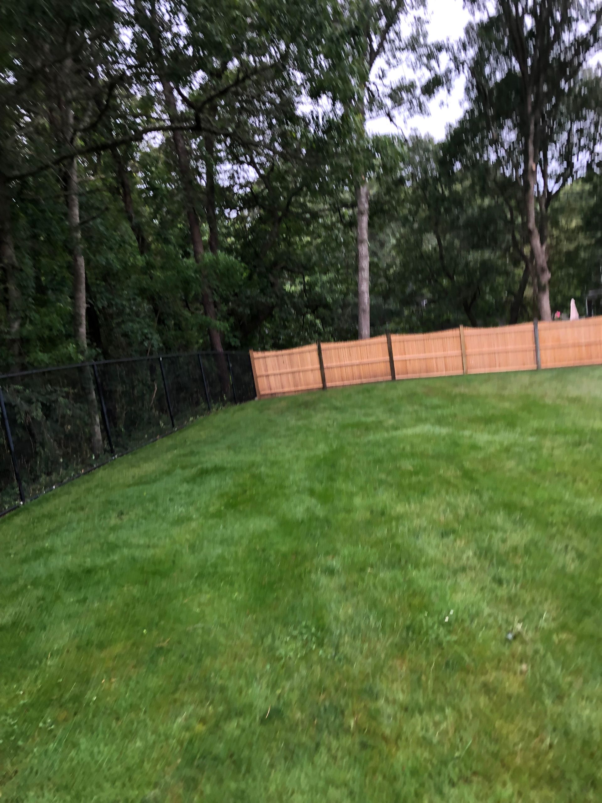 Lush green lawn slopes towards a wooden fence and treeline under a cloudy sky. A black chain-link fence is also present.