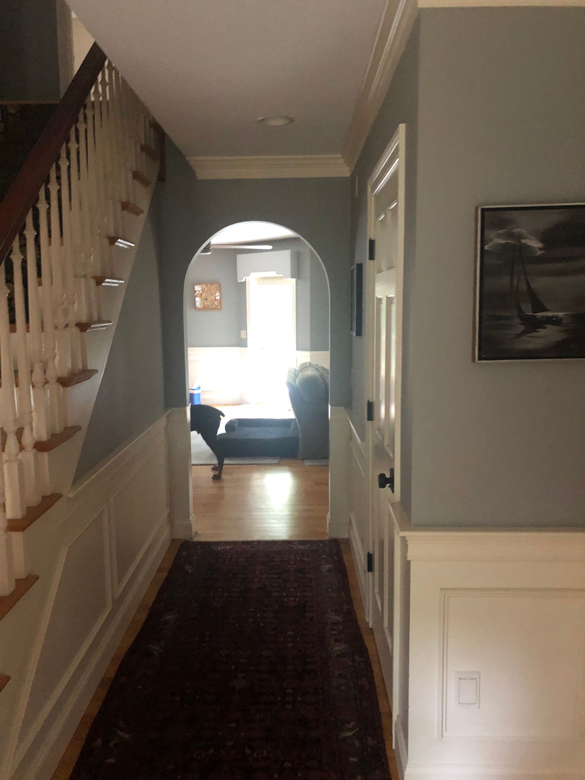 Narrow hallway with stairs, archway, and door; light gray walls, white trim and wainscoting, and a dark rug.