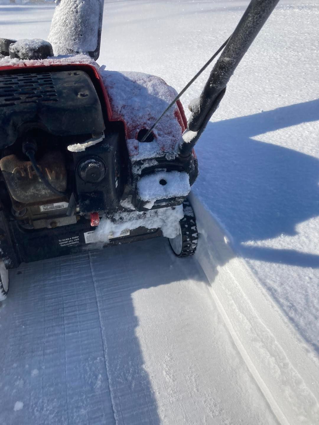 A large pile of green powder is sitting inside of a shipping container.