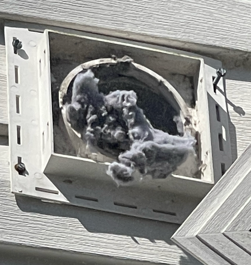 A dryer vent on a house exterior, clogged with gray lint.