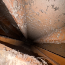 Looking up at an attic space with orange wooden beams and white, powdery substance.