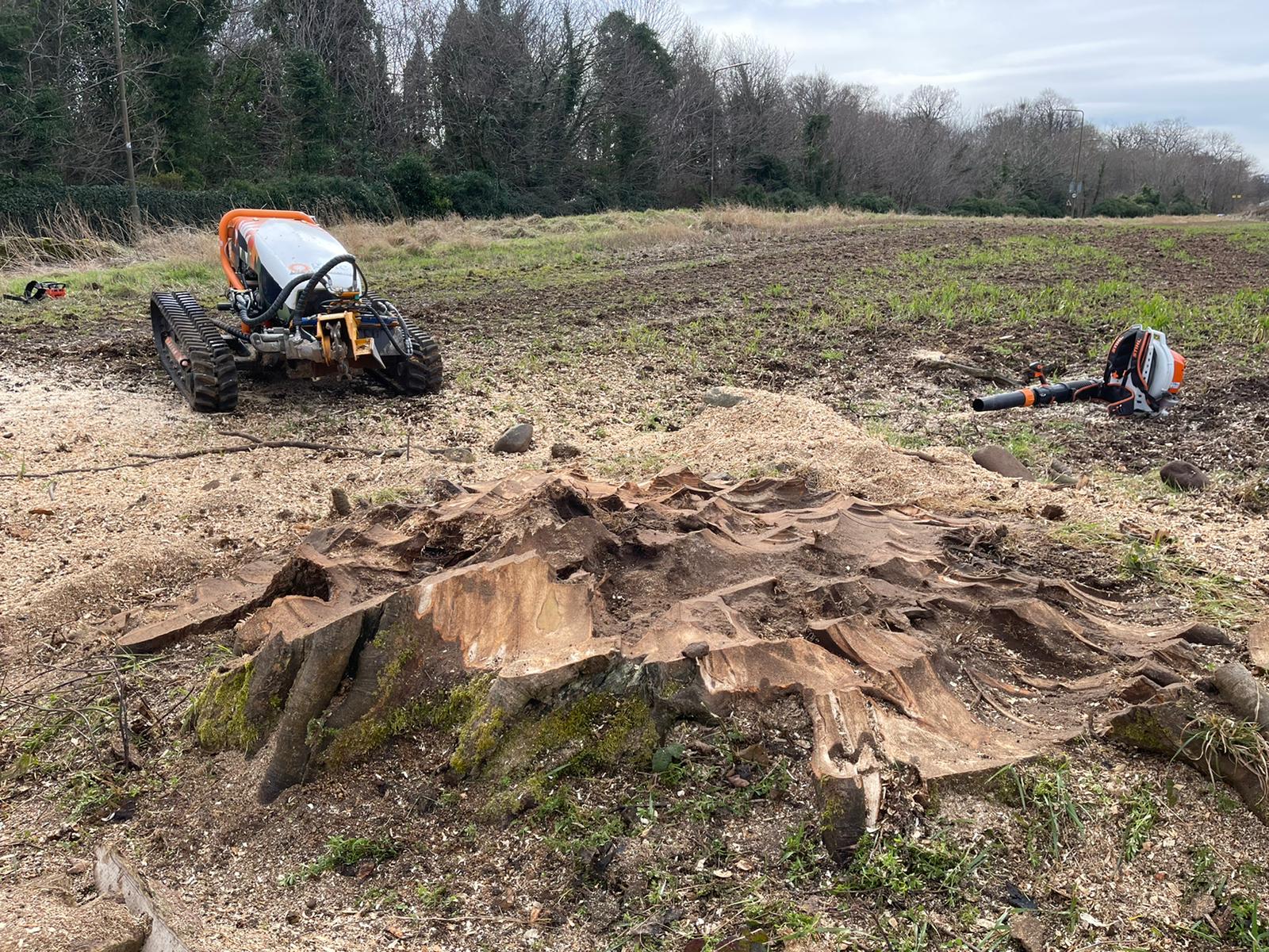 The Do's And Don’ts Of Grounds Maintenance