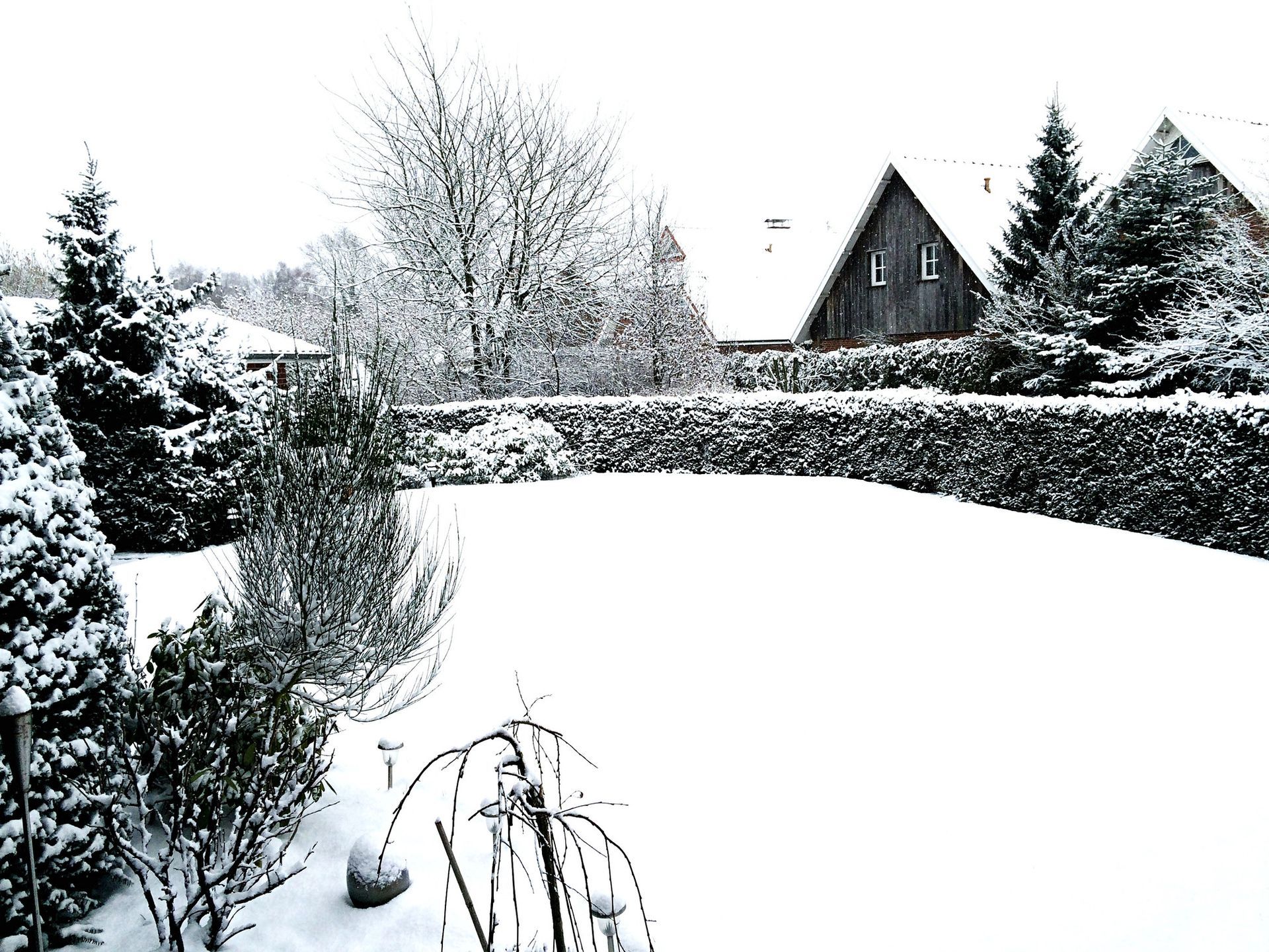 a black and white photo of a snowy garden with a house in the background .