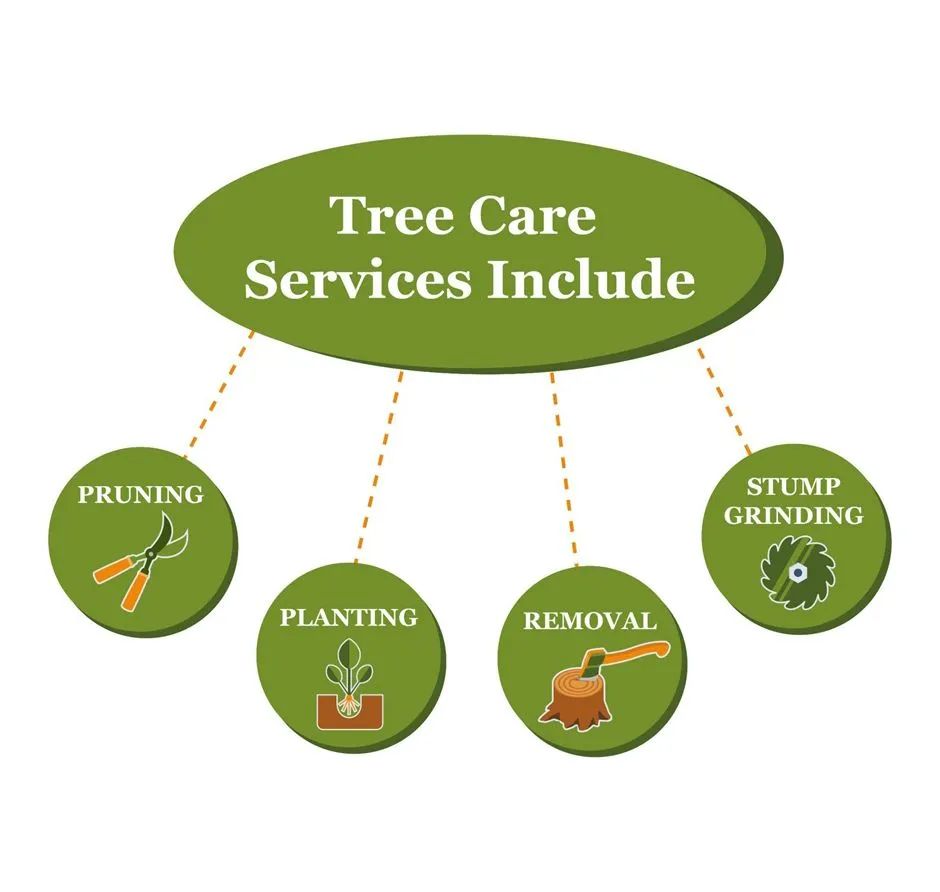 Tree care services including pruning, planting, removal, and stump grinding.