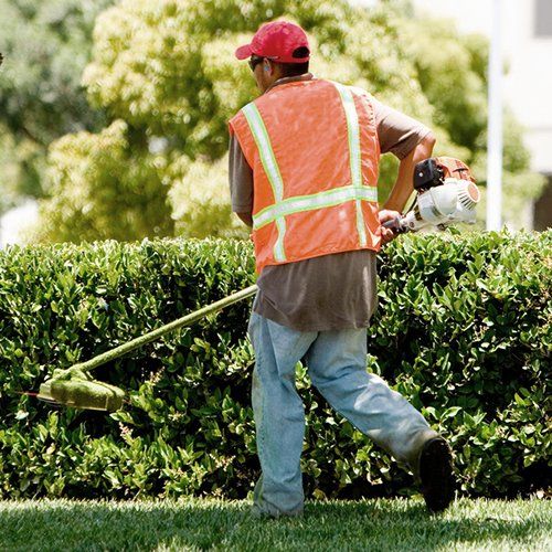 Committing Herbicide A Beginner’s Guide to Weed Killing