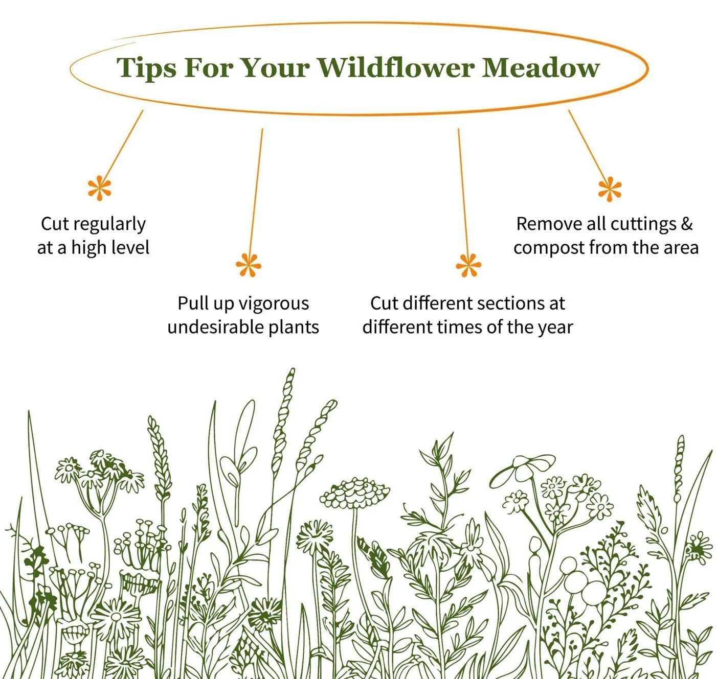 Tips for maintaining a wildflower meadow, including cutting, pulling plants, and composting.