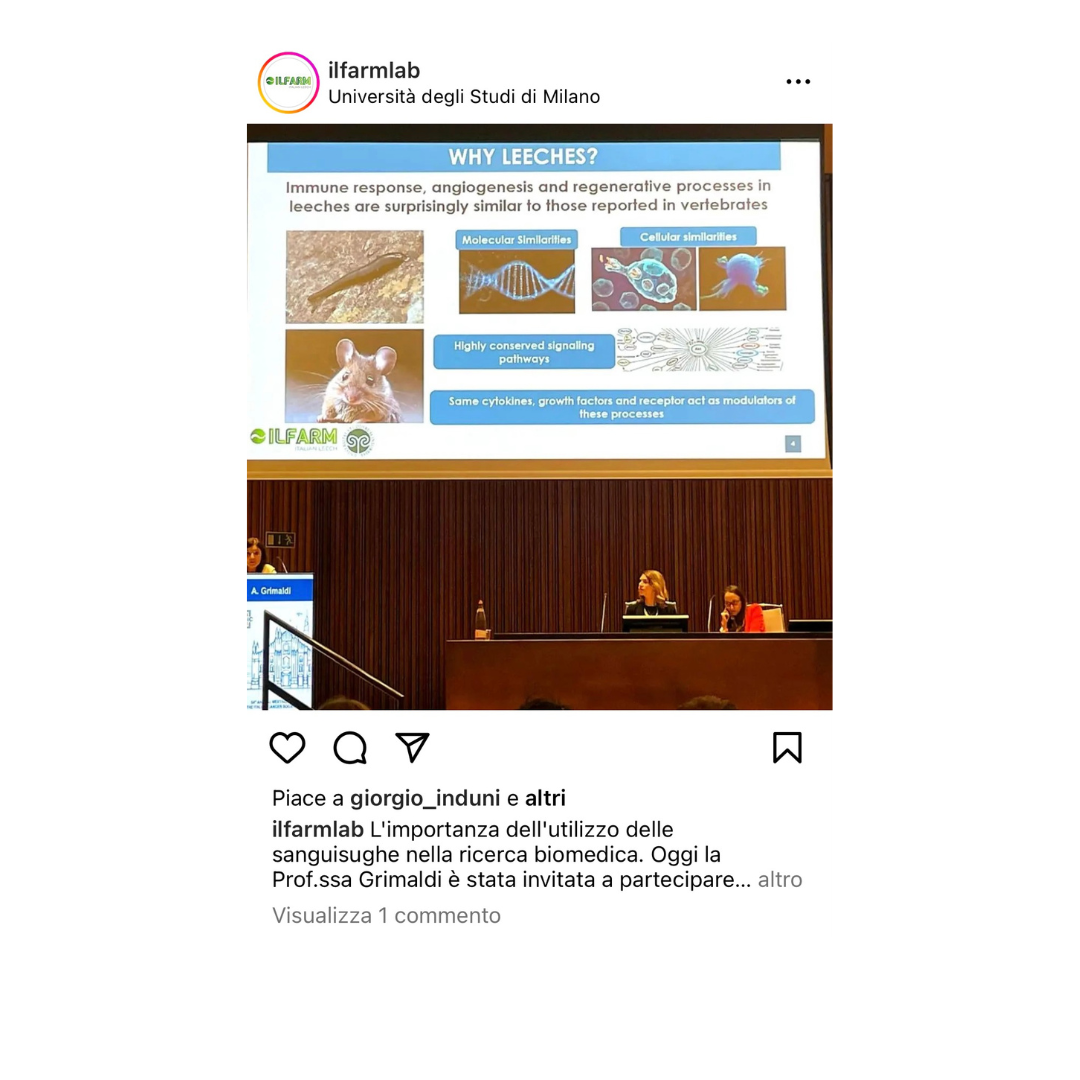 A group of people are sitting at a table in front of a large screen.