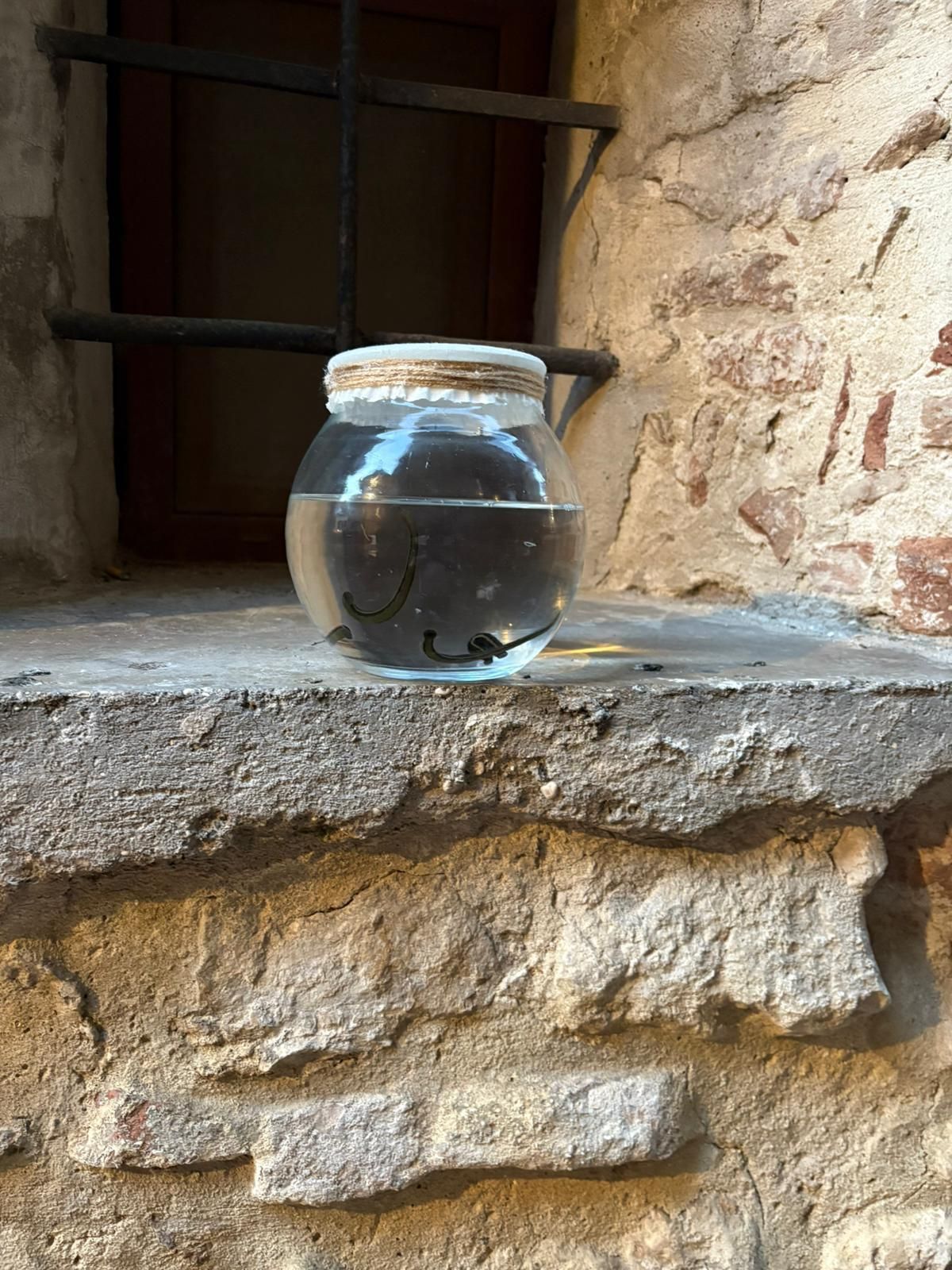 Un barattolo pieno d'acqua è appoggiato su una sporgenza di pietra vicino a una finestra.