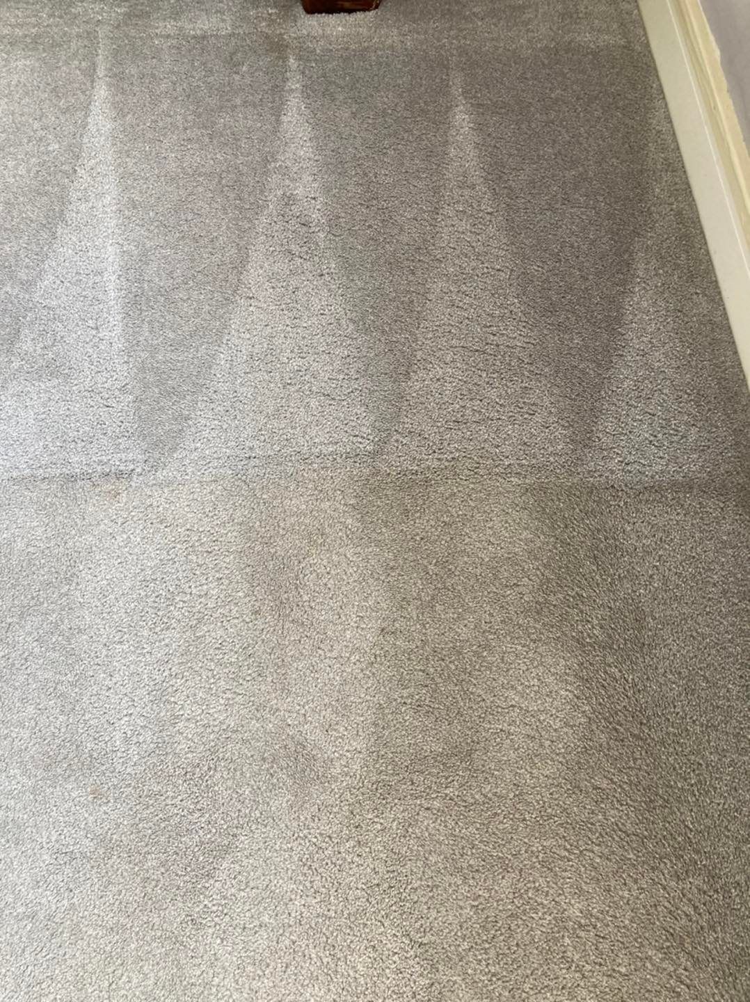 A close up of a carpeted floor in a room.