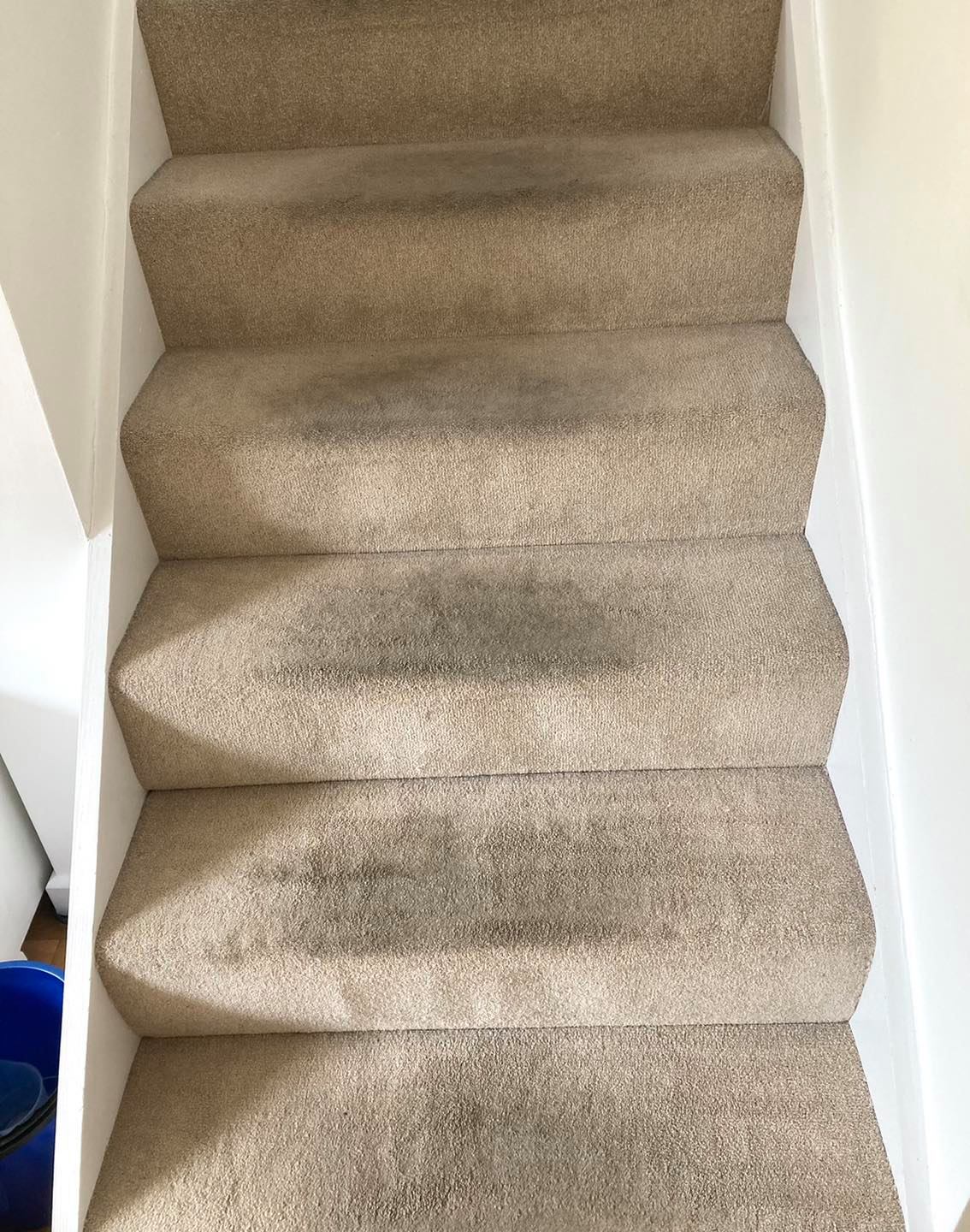 A set of stairs with a dirty carpet on them.