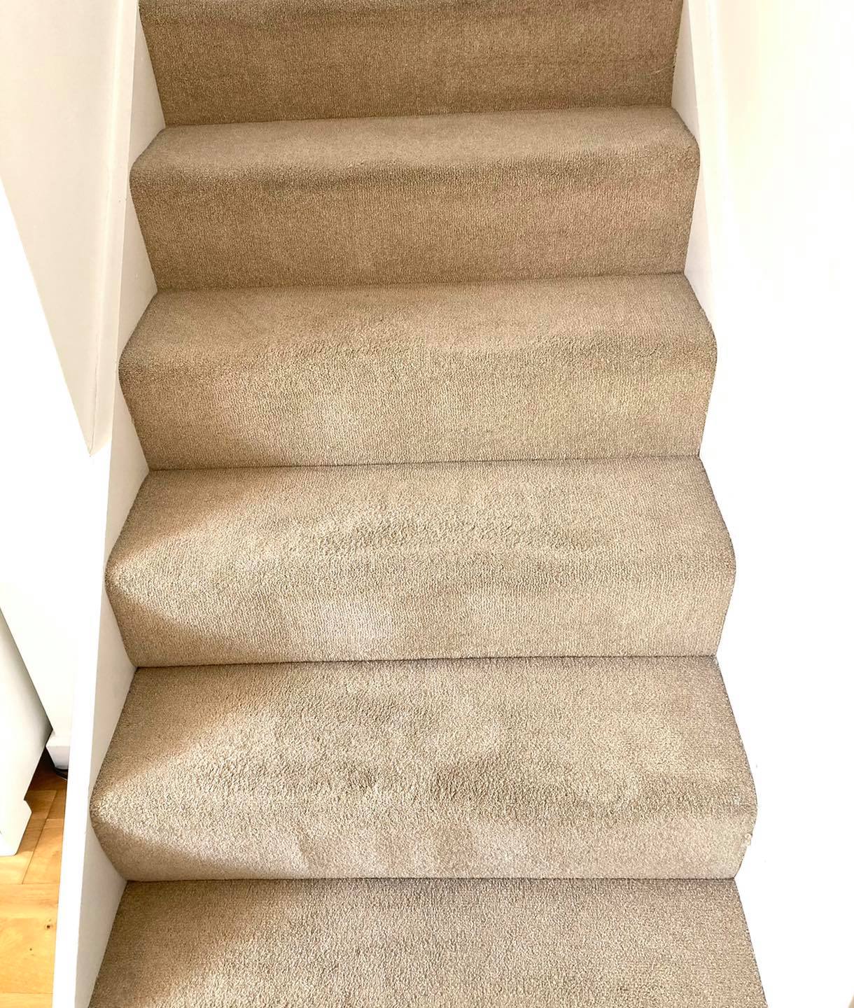 A close up of a set of stairs with carpet on them.
