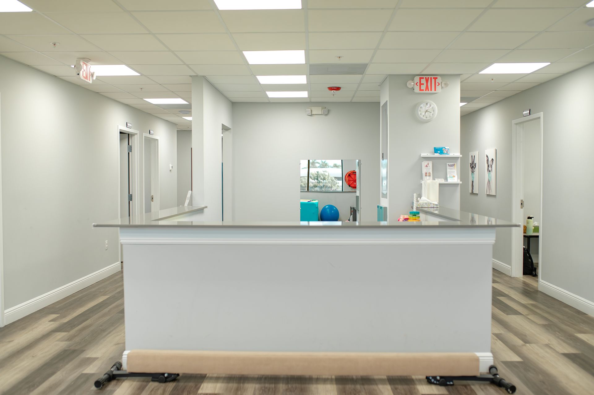 Reception area with white counter, gray walls, and wood-look flooring. Doors line a long hallway.
