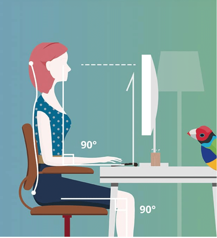A woman is sitting at a desk with a computer and a parrot