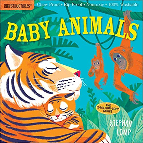 A book called baby animals by stephan lop