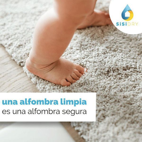 SISTEMA DE SERVICIOS INTEGRALES DE LIMPIEZA A INMUEBLES COLIN