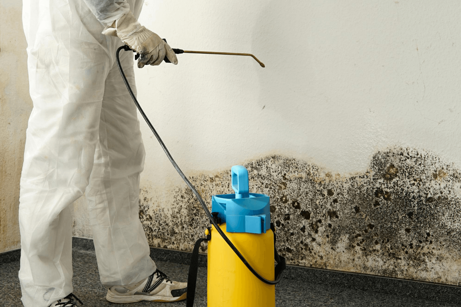 Can You Stay In Your House During Mold Remediation