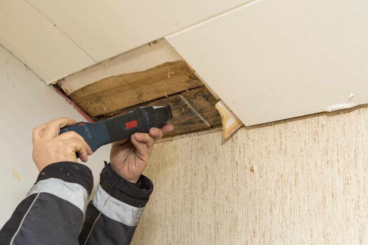 Doral Mold Inspection