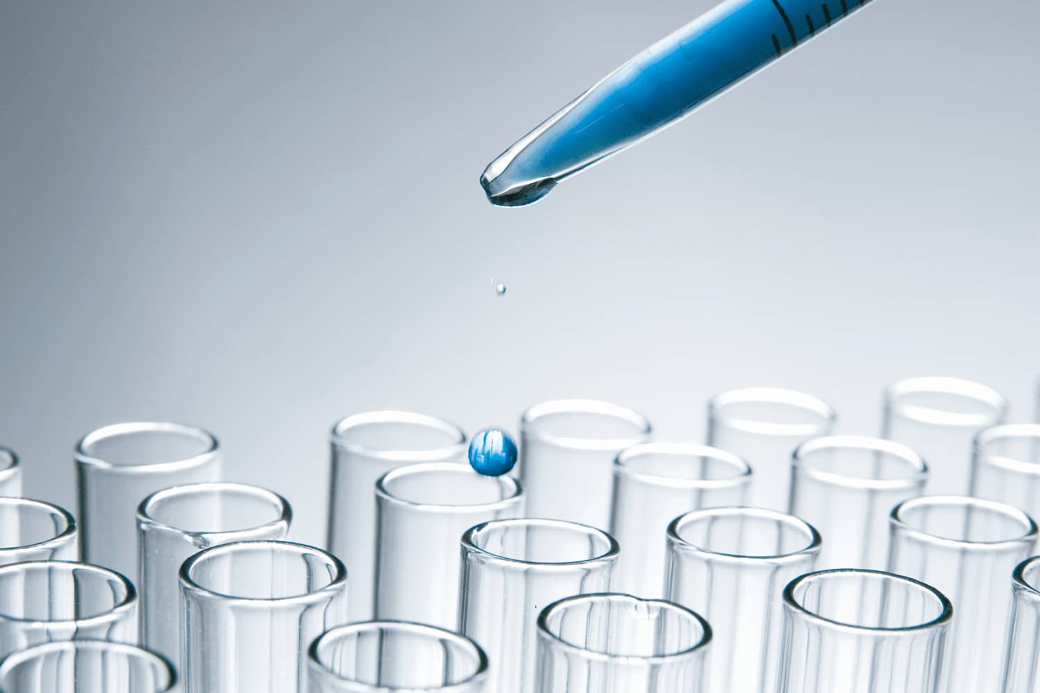 Mold Testing Samples