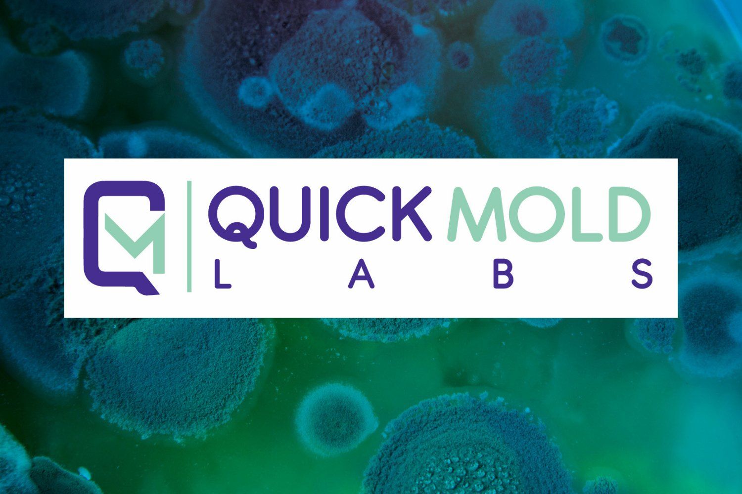 Quick Mold Labs Mold Inspection in Doral FL