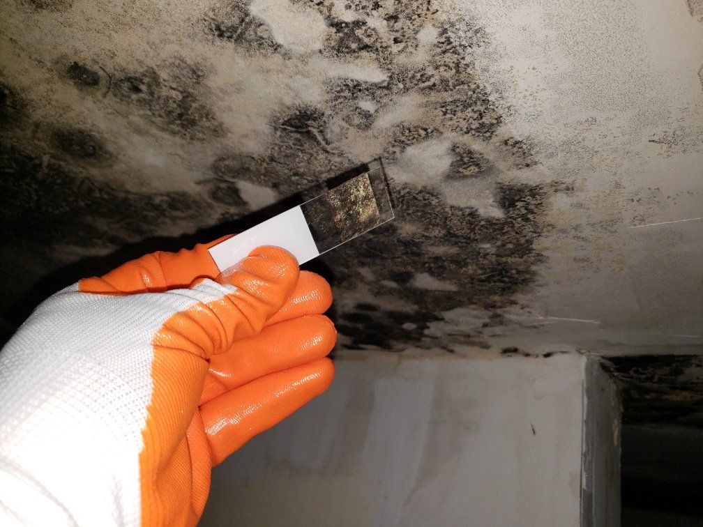 Ceiling with Mold — Panama City, FL — Raven Environmental Restoration Services