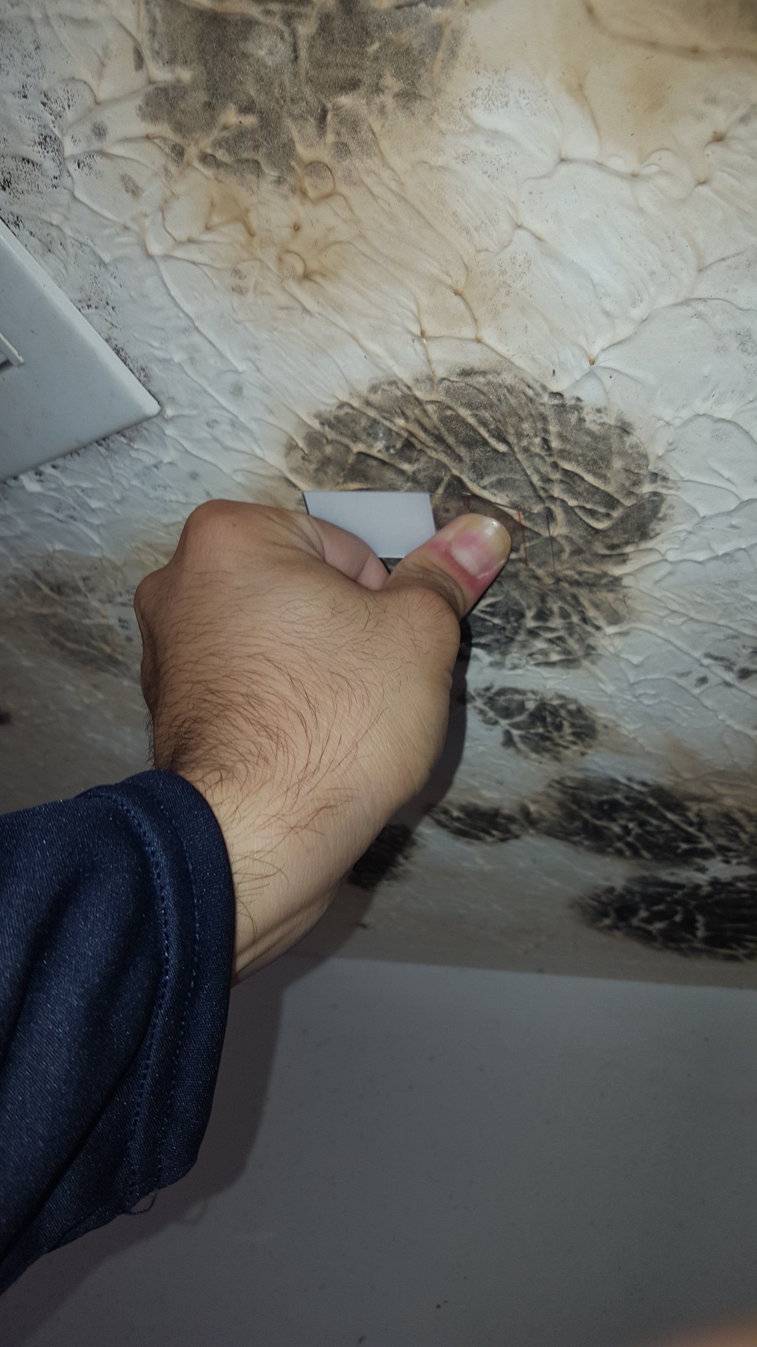 Checking Mold — Panama City, FL — Raven Environmental Restoration Services