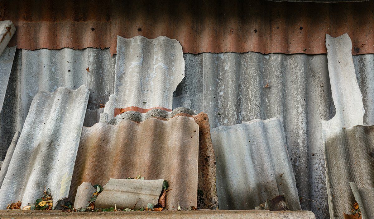 Asbestos Fibers — Panama City, FL — Raven Environmental Restoration Services