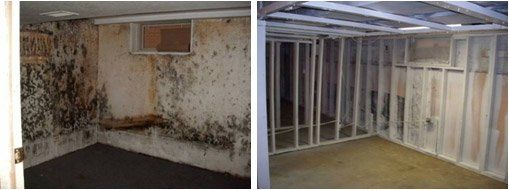 Removing Mold in Old House — Panama City, FL — Raven Environmental Restoration Services