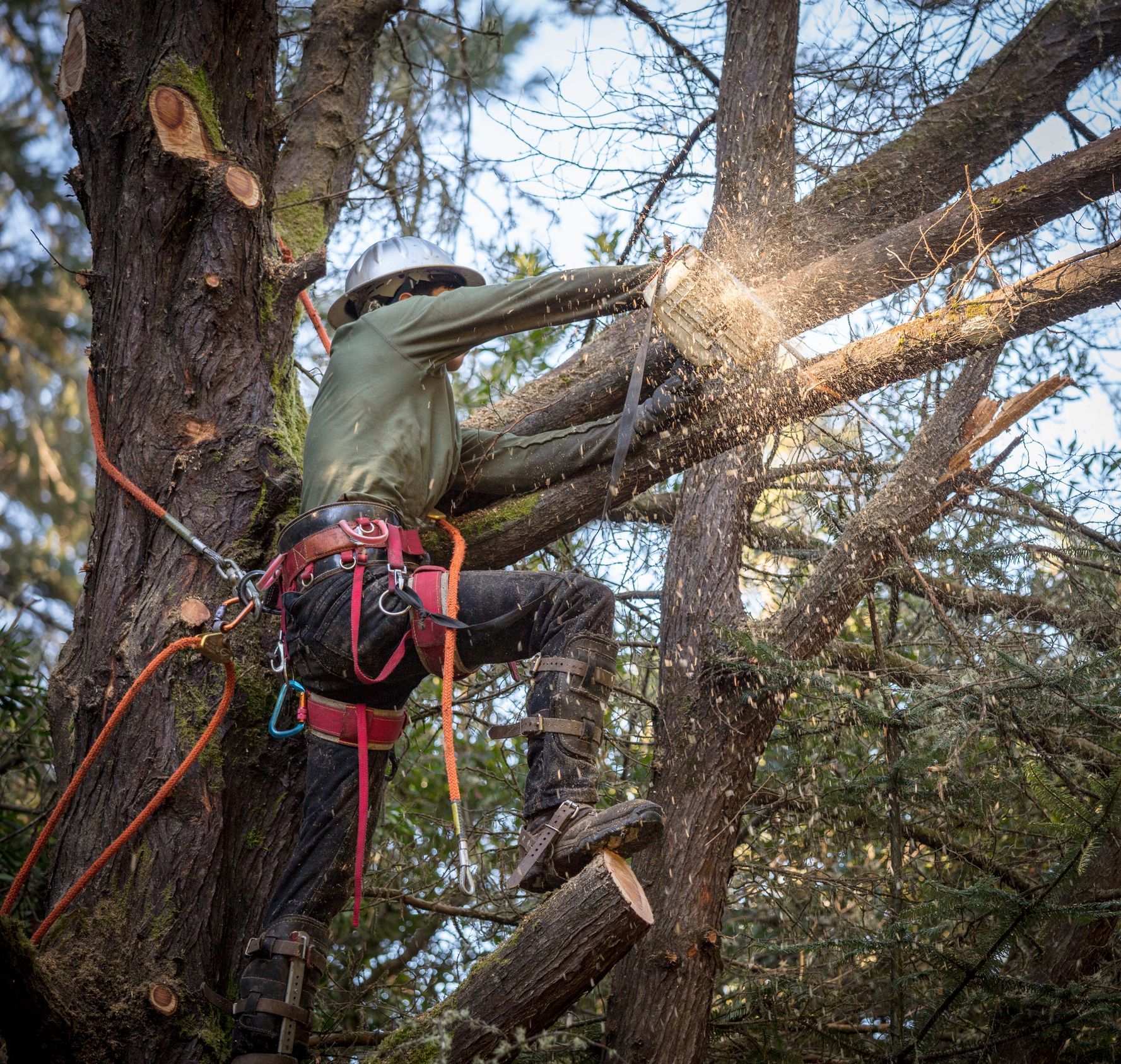 A man wearing a green shirt is cutting a tree branch with a chainsaw.