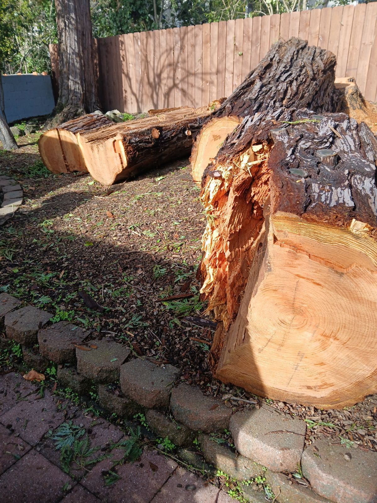 A pile of logs sitting on top of each other in a yard.