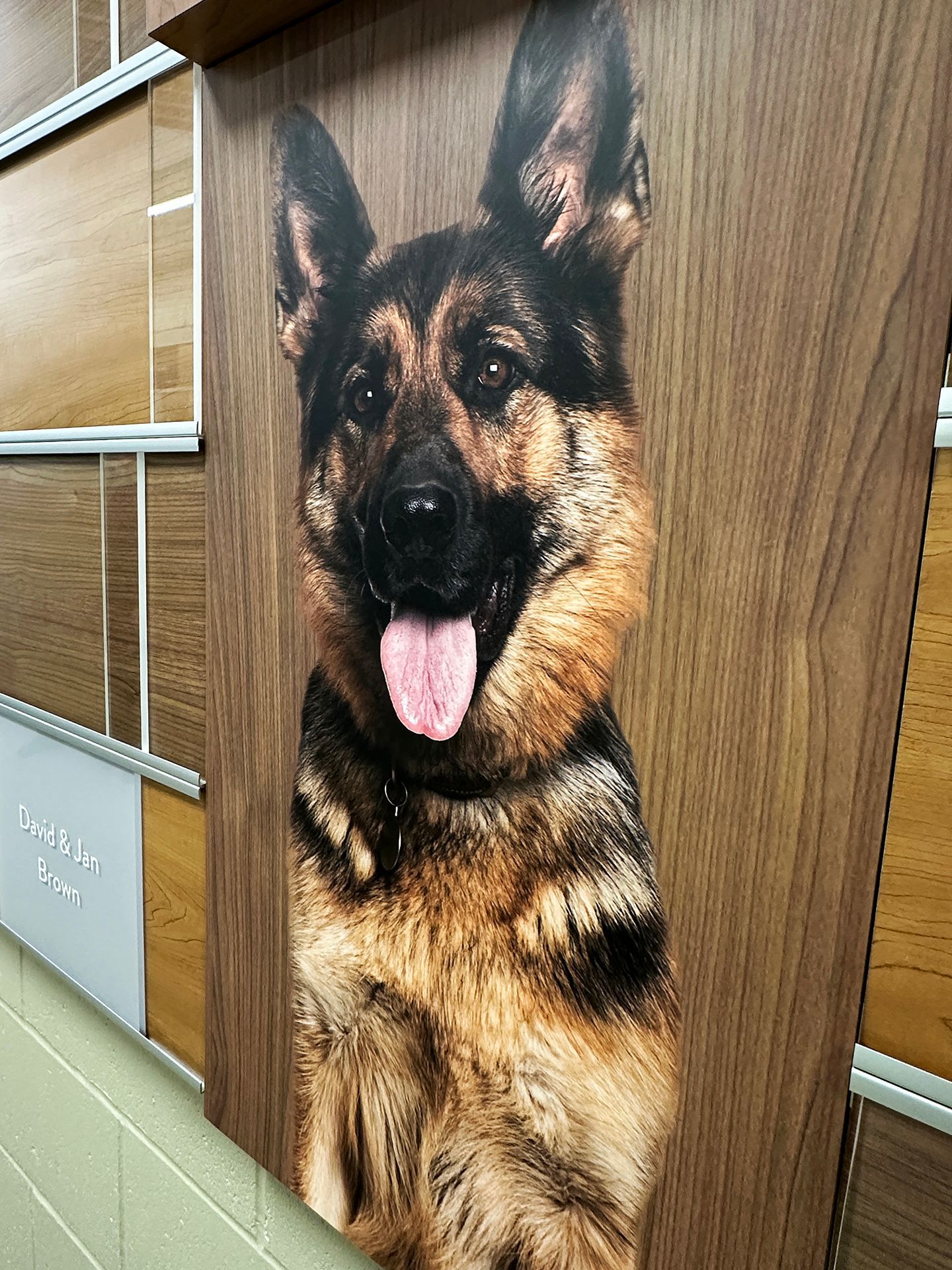 Avon-High-School-cafeteria-interior-branding2