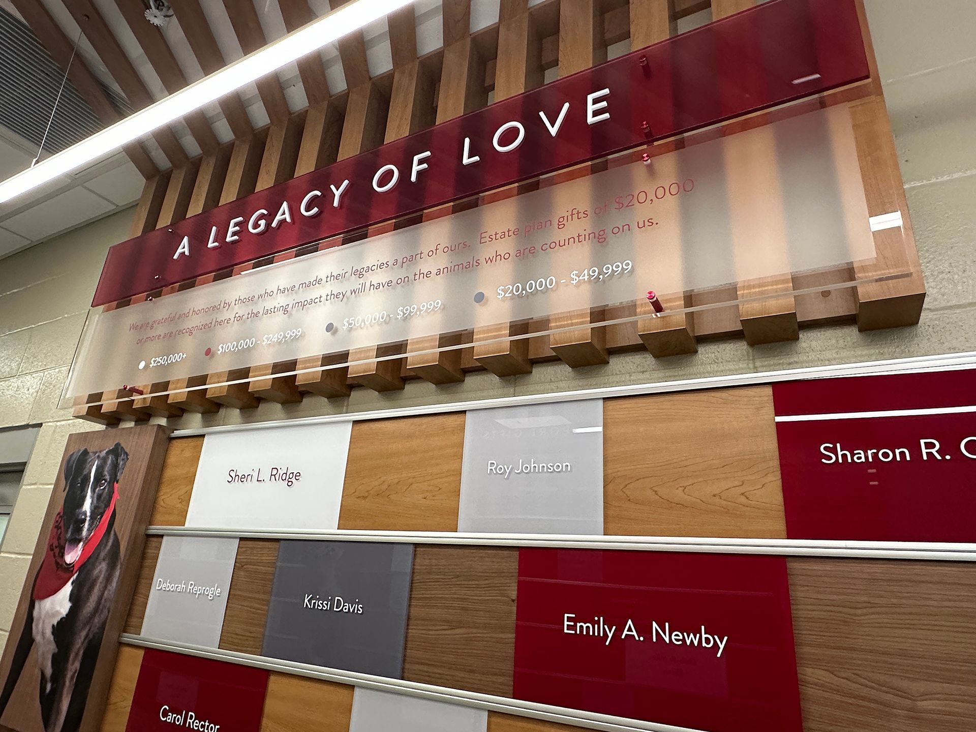 Avon-High-School-cafeteria-vinyl-text