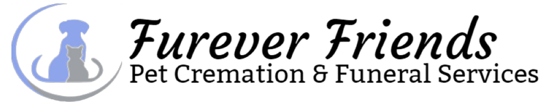 logo-image
