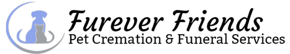logo-image