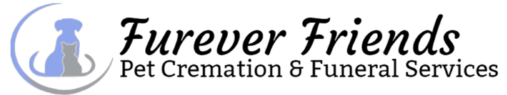 footer-logo-image