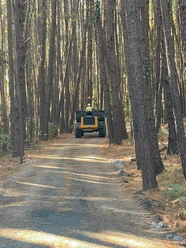 Tractor Traveling Through the Forest — Plant Operator Courses Tamworth