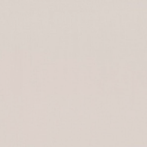 A close up of a white background with a plain texture.