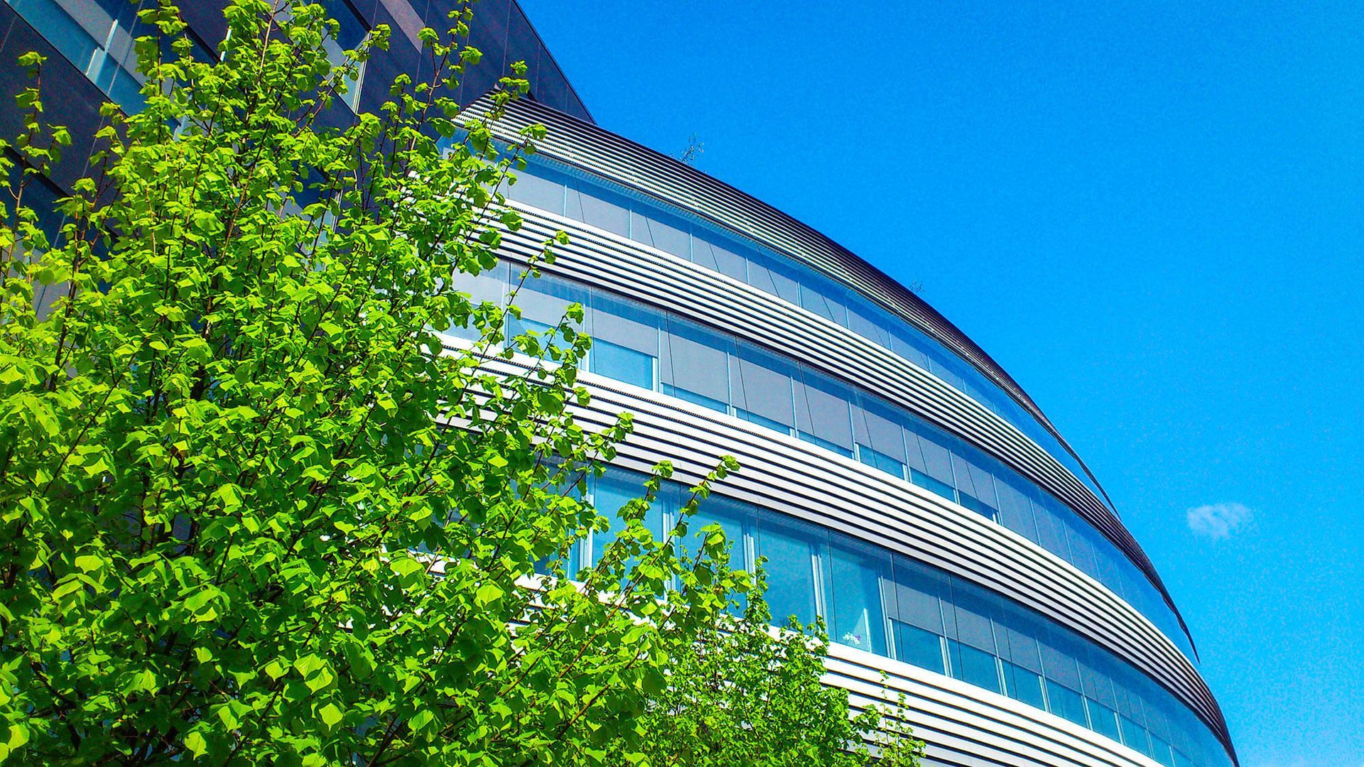 A large building with a tree in front of it and a blue sky in the background.