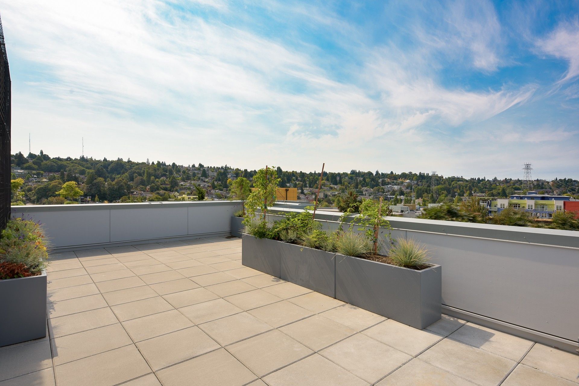 Photo of a rooftop  deck with plenty of plant life