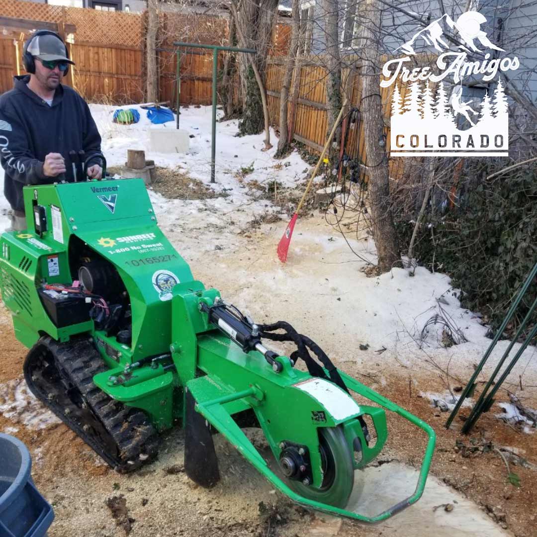 Grinding Service — Littleton, CO — Tree Amigos Colorado