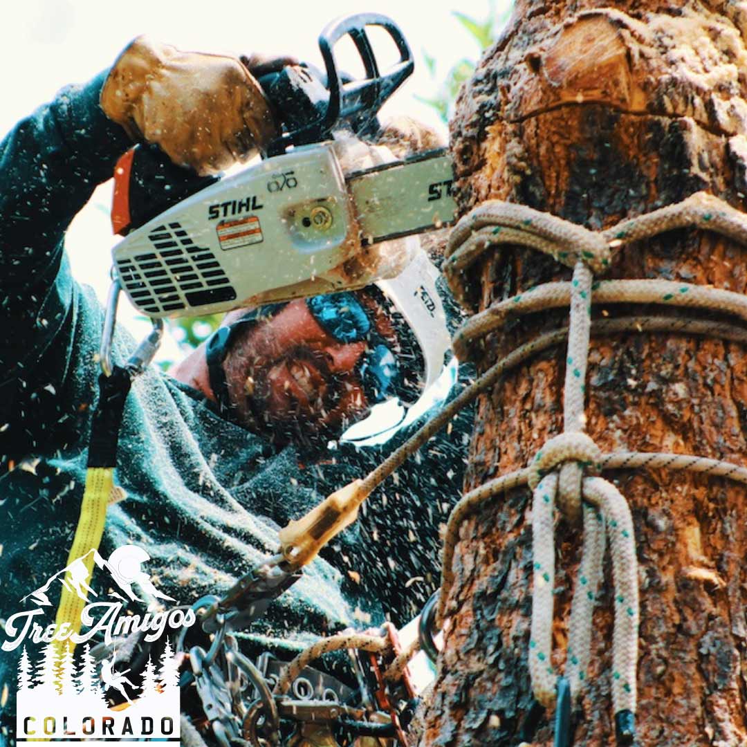 Cutting Wood — Littleton, CO — Tree Amigos Colorado