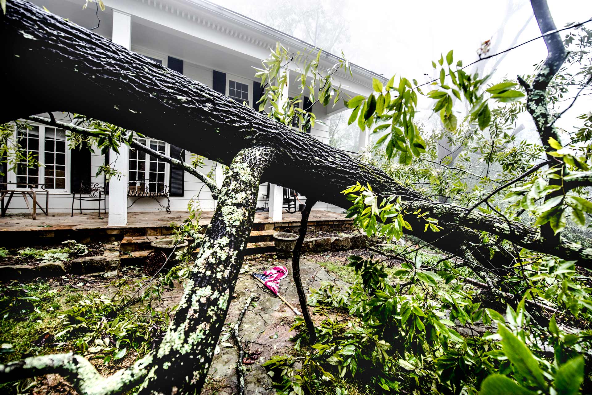 Fallen Tree After Storm — Littleton, CO — Tree Amigos Colorado